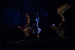 44556391360_a19378e649_o