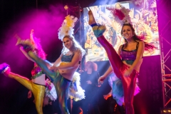 23030363582_b08ef71076_o