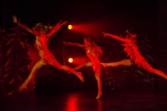 10876043046_a267facdd8_o